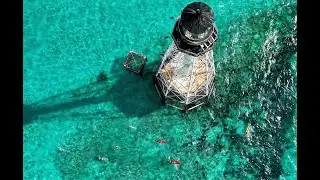 Swim for Alligator Lighthouse 2024