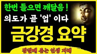 의도가 곧 '업'이다 금강경 해석 (3시간순삭) 요약 | 불교명언 | Meditation Mindfulness Buddha | 전문 사구게 뜻 원본