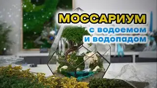 Моссариум с водоемом и водопадом своими руками