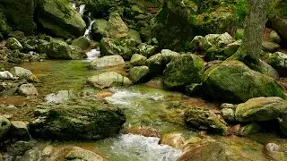 [ ACMP ] Forest Stream Relaxing River Sounds - Лесной ручей Расслабляющие звуки реки | 3 Hour Relax