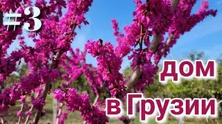 #3 Дом в Грузии