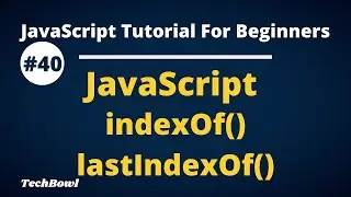 Array indexOf and lastIndexOf in javascript | javaScript Array methods tutorial (Hindi)