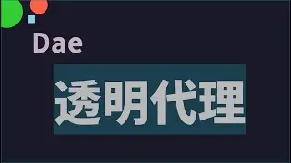 Linux 桌面版透明代理代理工具 dae | 支持 v2ray ssr ss juicity tuic 等代理