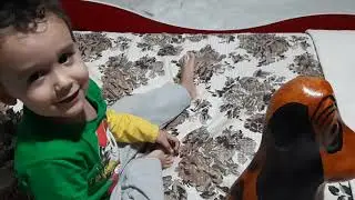 Sobrou REAL? Eeeeeeuuu é que vou colocar no AU AU!