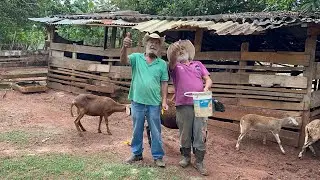 PARTE 2 visita dos meus amigos aqui no sítio