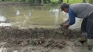 Ada yg faham? Marsaba lagi...!