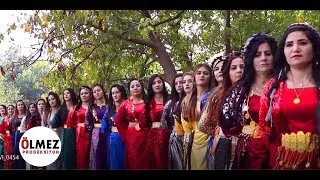 Mehmet & Hasret Düğünü Andaç düğünleri Şexaniya Oremar Şiyar Berwari