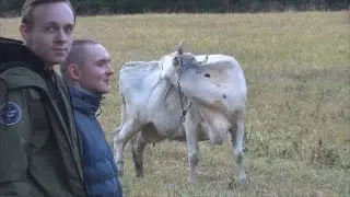 Карелия: не штат Флорида