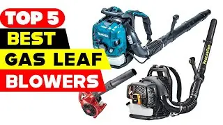 Top 5 Best Gas Leaf Blowers Reviews 2024
