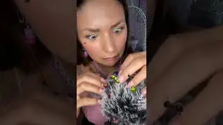 Searching for Bugs 🐛  w/ ASMR Miss Mi 