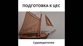ЦЕС тест. Подсказки.