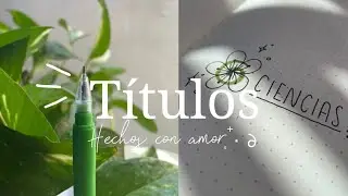 Ideas Para Títulos ༉‧ ❀ ₊˚ (Sin Lettering)  )