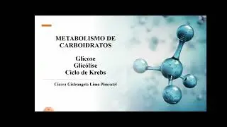 Metabolismo da Glicose