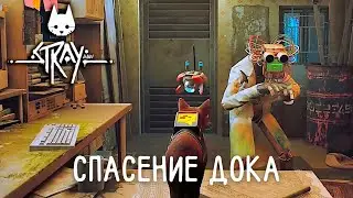 СПАСЕНИЕ ДОКА - Stray #4
