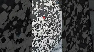 С блочного лука по крышке от бутылки