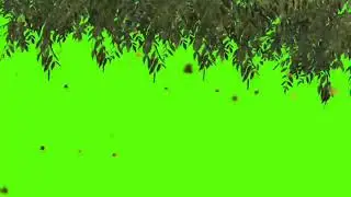 full tree falling green screen (chroma key) effect hd tree green screen.
