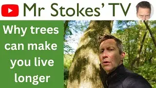 Why trees can make you live longer