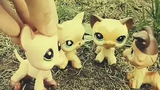 LPS сериал 