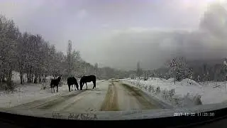 ДОРОГА ЛОШАДИ