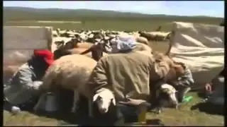 Dengbej Feto   Sebre Yazi Mikedere XWEDANE