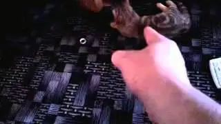 Самый идиотский выстрел! Оружие! Охота! Стрельба