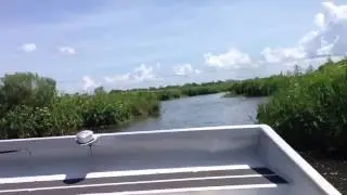 По болотам луизианны на казанке с пропеллером )