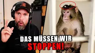 KOPF AUFGEBOHRT! Diese grausamen Tierversuche müssen enden! Interview mit Soko-Tierschutz & Biologin
