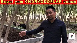 BEKORGA BERAMIZ BIZNES BOSHLASHSIN. Yana qayetda bor shunday inson? “Biogumus” 2022