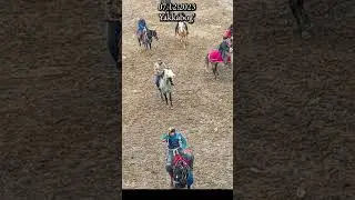 Yakkabog'dan Shunqor polvon Shahrisabzdan Zubay akani #sharra oti bn #horse #rek #love
