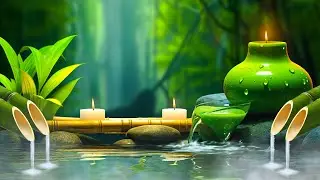 Relaxing Music with Bird Sounds - Bamboo Fountain, Natural Sounds, Helps Relieve Stress, Meditation