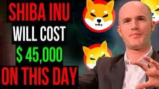 JUST IN: SHYTOSHI, THE CEO OF SHIBA INU WITH URGENT MESSAGE TO SHIB HOLDERS!