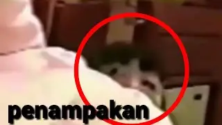 Penampakan dirumah sakit