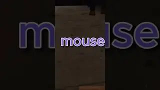 this video was super fun to make 