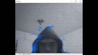 optical flow with python