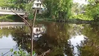 Vlog Bình yên câu cá vùng quê nghèo