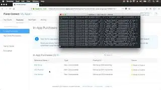Adding 45 In App Purchases to Itunes Connect in under 10 minutes