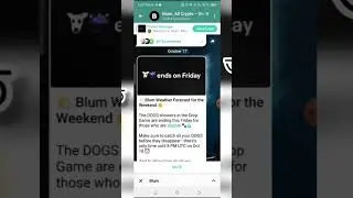 ২১ তারিখ থেক সবাই Dogs Token পাবেন