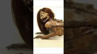 top 5 monsters caught on camera #short #finds #monster