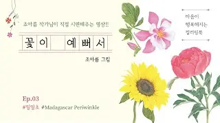 꽃이 예뻐서- 보태니컬 컬러링 03 일일초