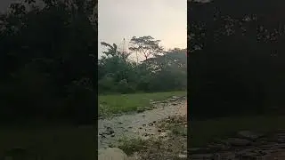 Sunset at the River #river #riverside #nature #naturelovers #naturebeauty #youtubeshorts #fyp #yt