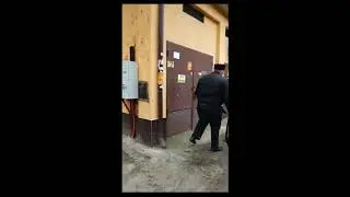 Российские казаки петушмейстеры