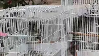 25 мая 2019 г.