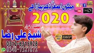 New Manqabat 2024 | Mako Ashgar Dheer Piyara Hay By Sheikh Ali Raza New Qasida 2024