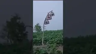 chingi bater ki awaaz