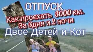 Отпуск. Как проехать 3000км. Двое детей и Кот. Какое расстояние самое большое проходили  Вы на авто?