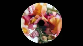 Fresh and Low - New Life