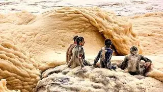 Most Mysterious Ocean Natural Phenomena