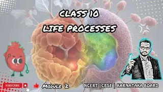Complete Guide to Life Processes in Class 10 NCERT | Module 2