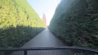 One of the longest driveway