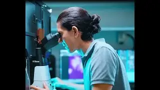 Postdoc in Israel - The Experience at the Weizmann Institute of Science